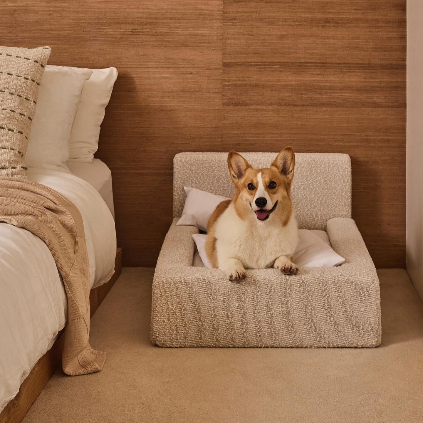 Dog Mat, Movable Rectangular Sponge Cat Bed Backrest, Pet Sofa, Suitable For Small, Medium And Large Cats And Dogs, Mat Bed, Dog Pet Accessories, Bedding